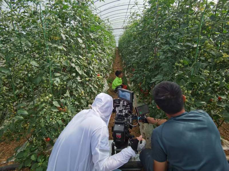 黑山县产品宣传视频拍摄公司进阶指南，助力品牌抢占传播高地